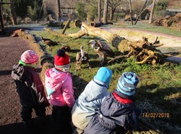 Bei den Greifvögeln im Zoo 02_18 (3)