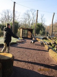 Bei den Greifvögeln im Zoo 02_18 (11)