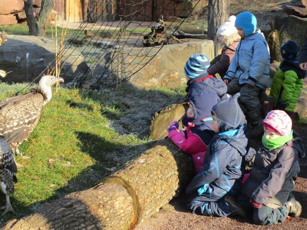 Bei den Greifvögeln im Zoo 02_18 (10)