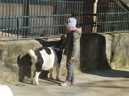 Frühling im Zoo (8)