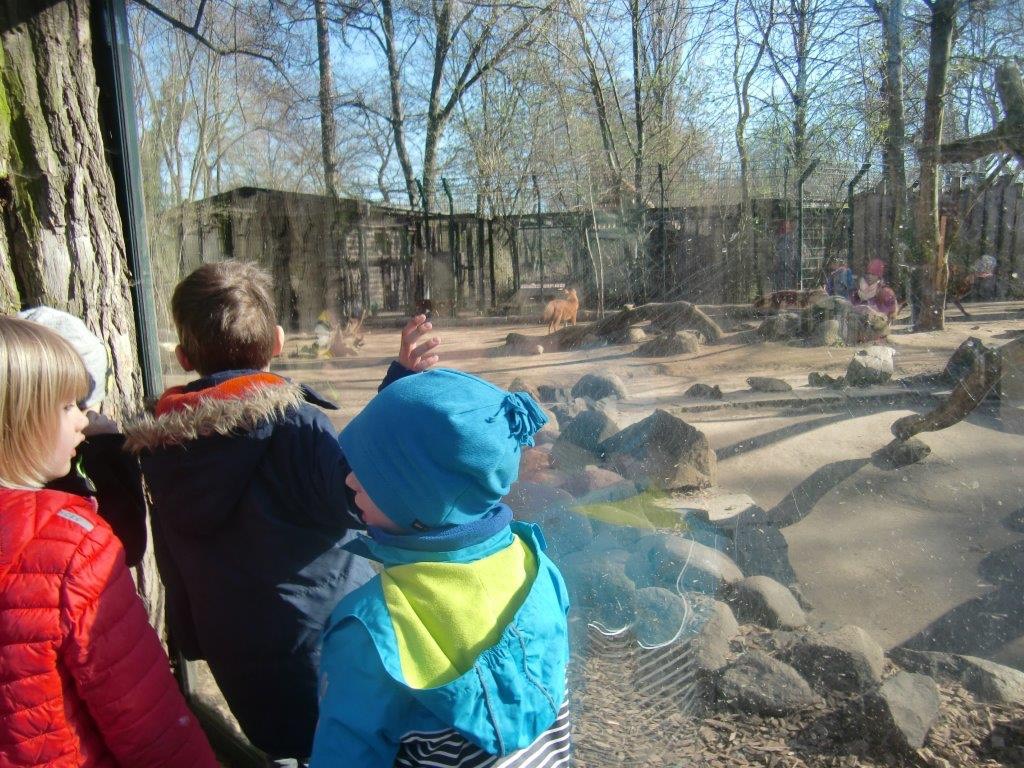 Frühling im Zoo (5)