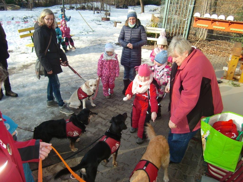 Hundebesuch im Zookindergarten (56)